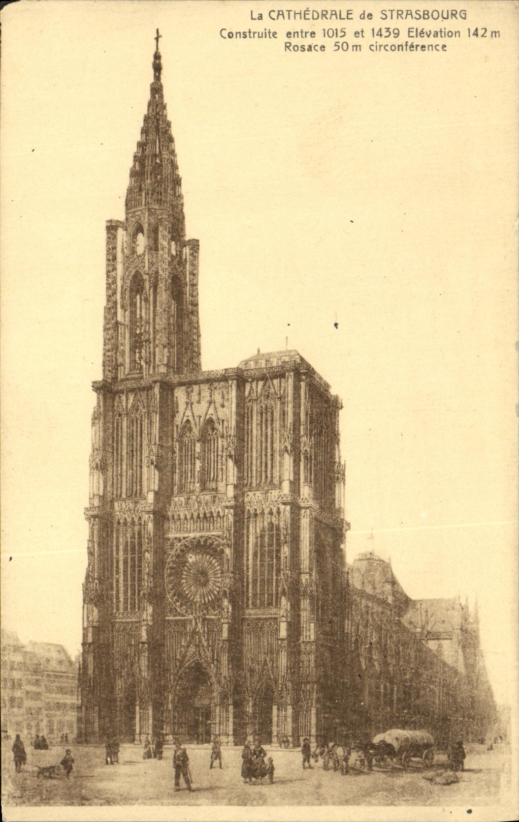 CPA La Cathedrale de Strasbourg