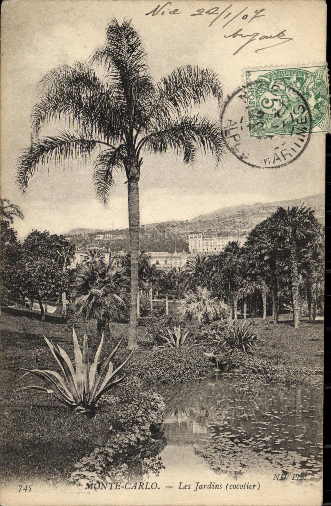 CPA Monte Carlo Vue Jardins Cocotier
