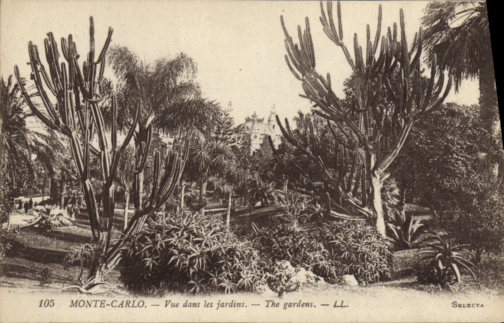 CPA Monte Carlo Vue dans les jardins Cactus