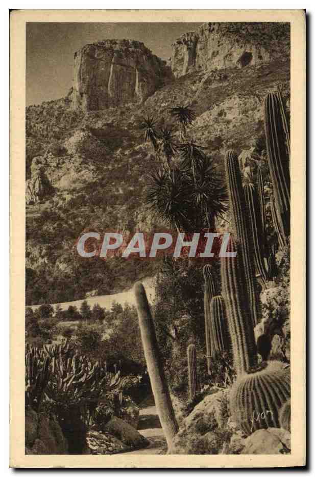 CPA Cote D Azur Monte Carlo Le Jardin exotique