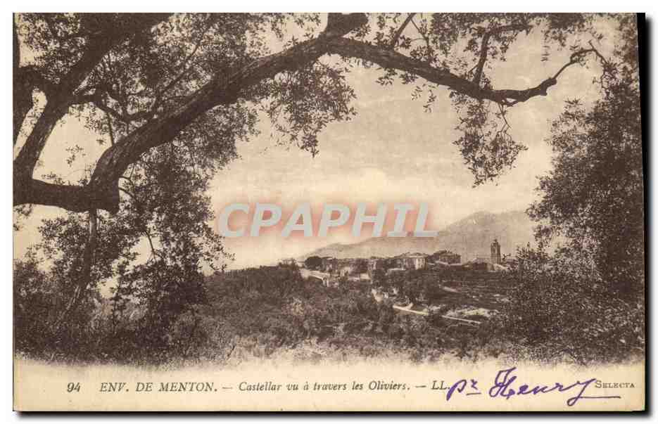 CPA Env De Menton Castellar vu a travers les Oliviers