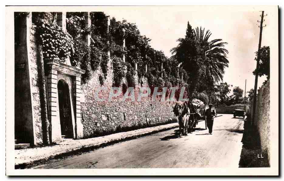 CPA Menton Garavan Avenue de la Frontiere animee 