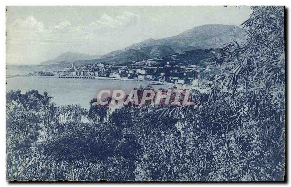 CPA Menton vu des Jardins de Garavan 