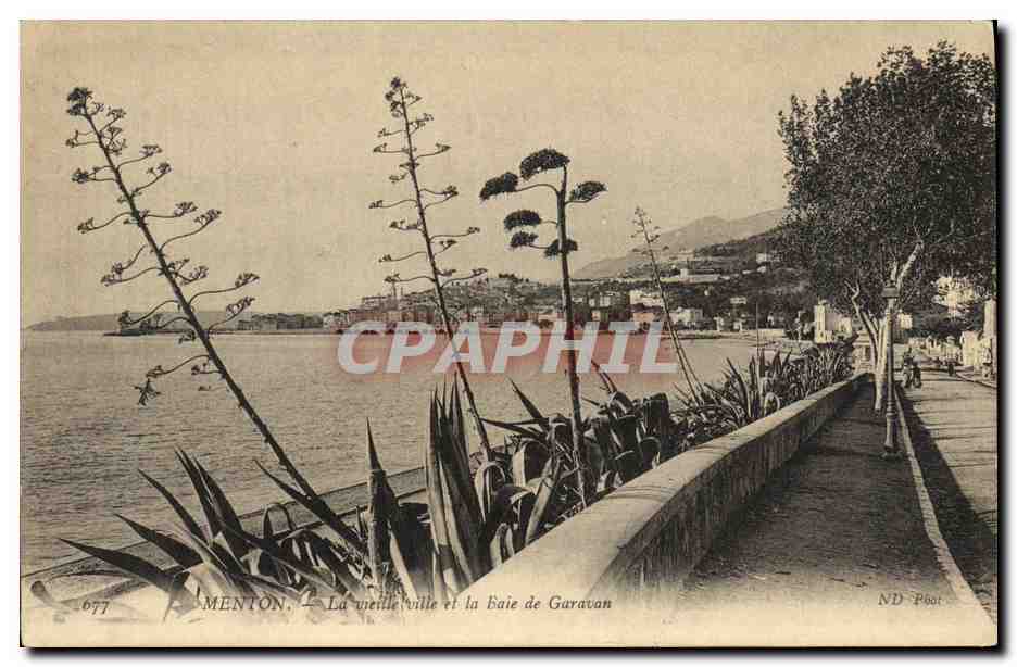 CPA Menton La Vieille Ville et la Baie de Garavan