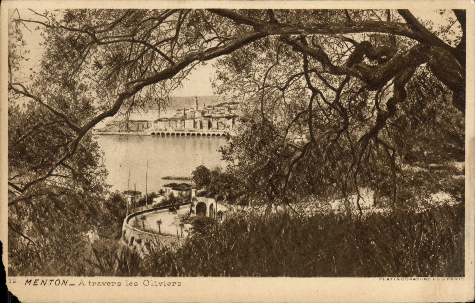 Menton — A travers les Oliviers — Platinogravure L.L. Paris