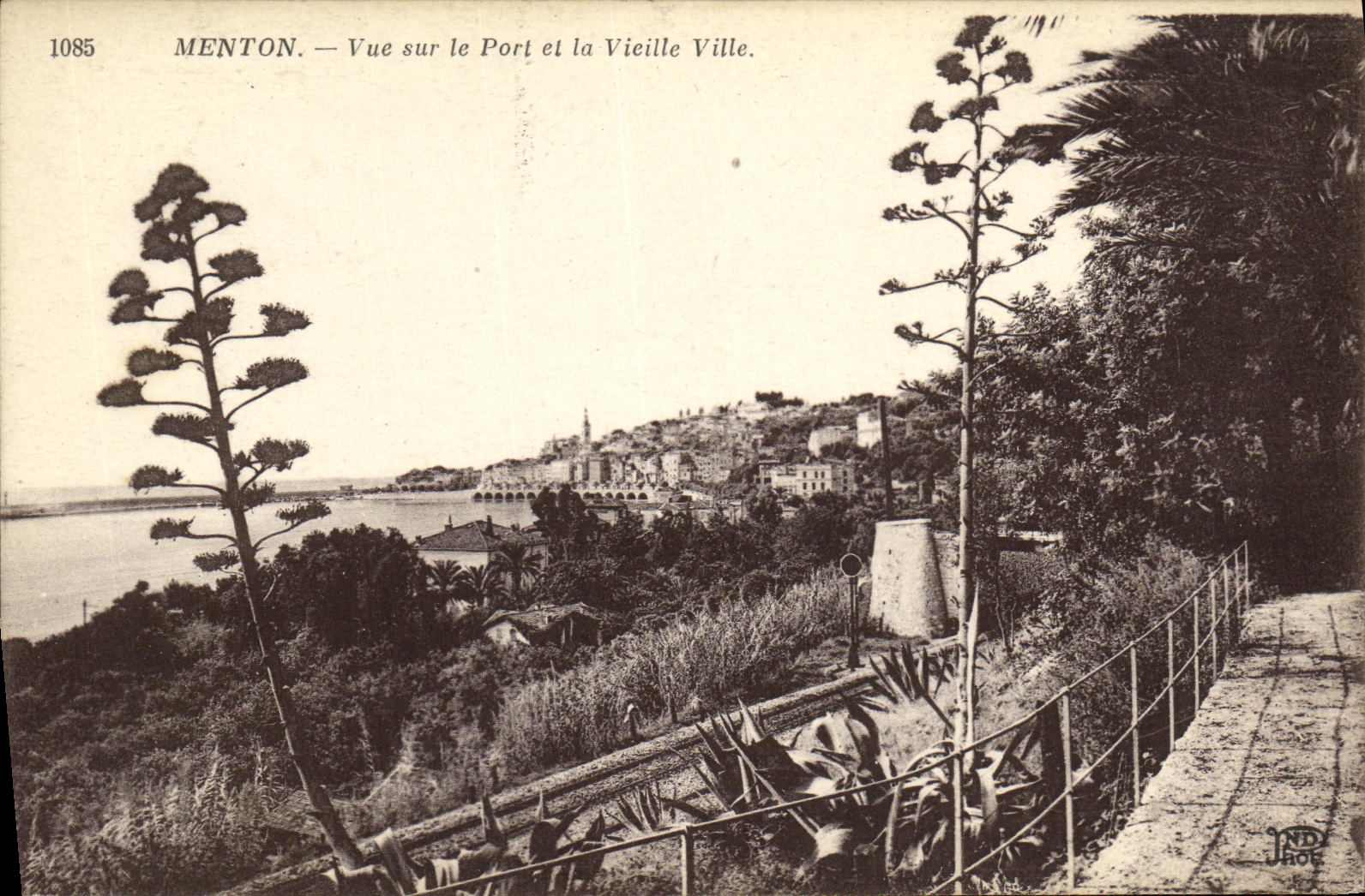 CPA Menton Vue sur le Port et la Vieille Ville