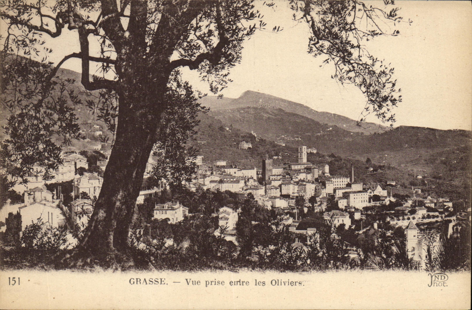 Grasse — Vue prise entre les Oliviers — Neurdein Frères, n°151