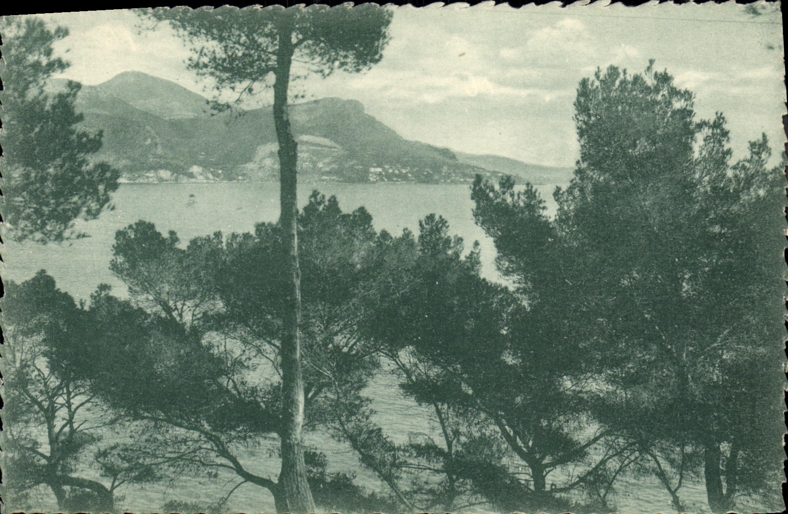 Saint-Jean-Cap-Ferrat — Vue sur Beaulieu et la Tête de Chien — Établissement Frédéric Langer