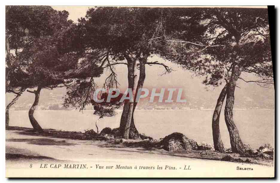 CPA Le Cap Martin Vue sur Menton a travers les Pins