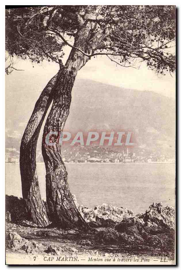CPA Cap Martin Menton vue a travers les Pins