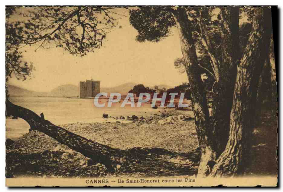 CPA Cannes L lle Saint Honorat entre les Pins