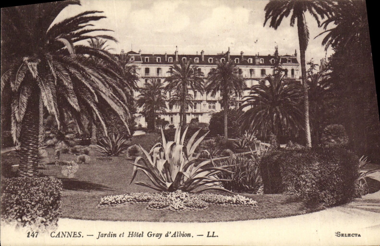 CPA Cannes Jardin et Hotel Gray d Albion