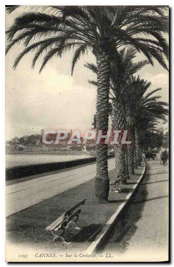 CPA Cannes Sur la Croisette