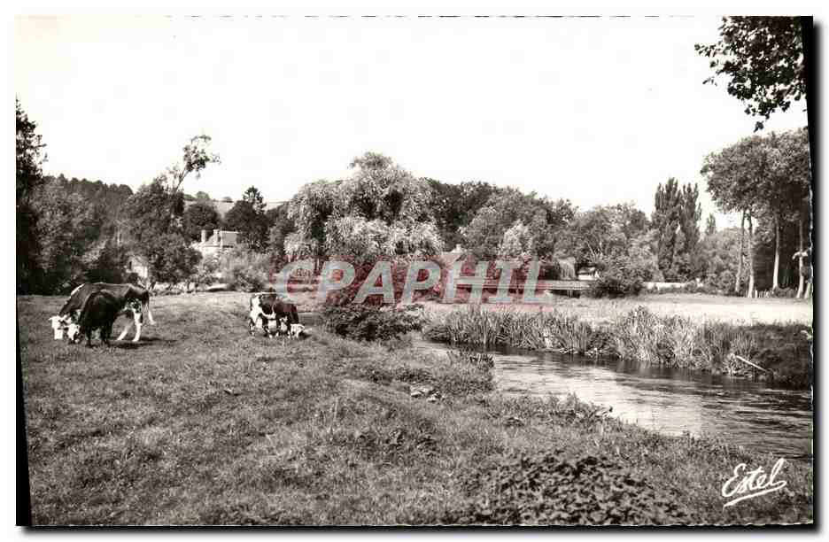 Ezy-sur-Eure (Eure) — Der Pont des Cordeliers - Weiden am Ufer der Eure — Verlag Estel & Lavelle