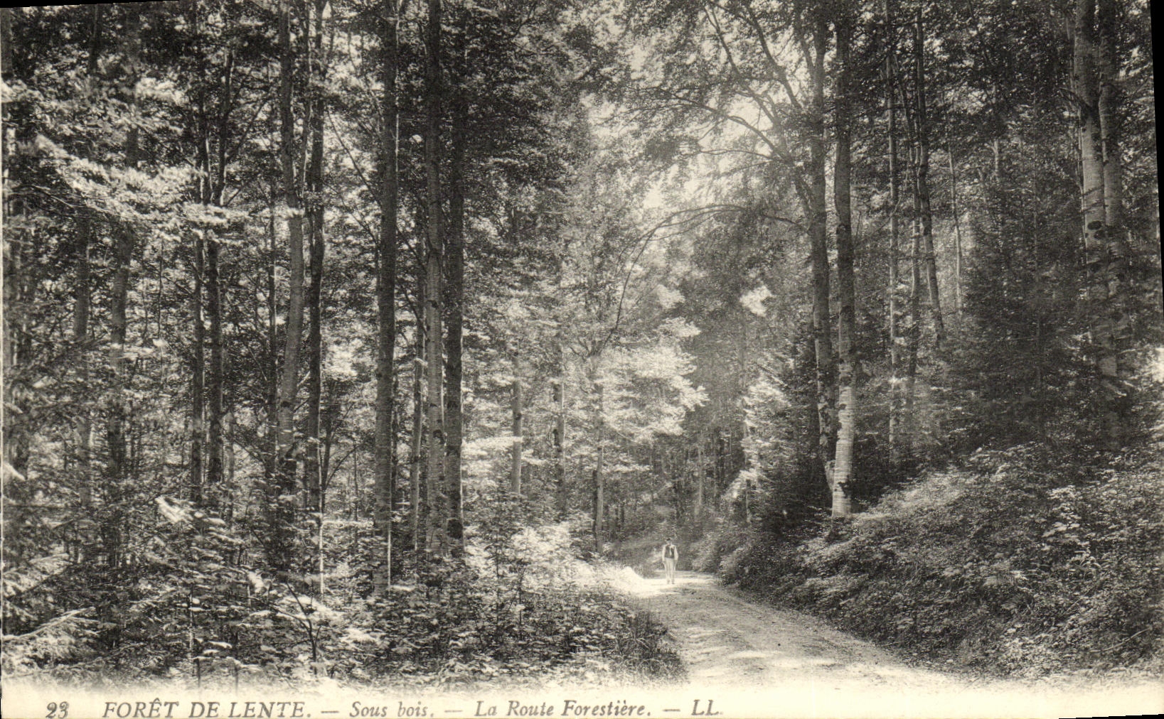 CPA Foret de Lente Sous bois La Route Forestiere