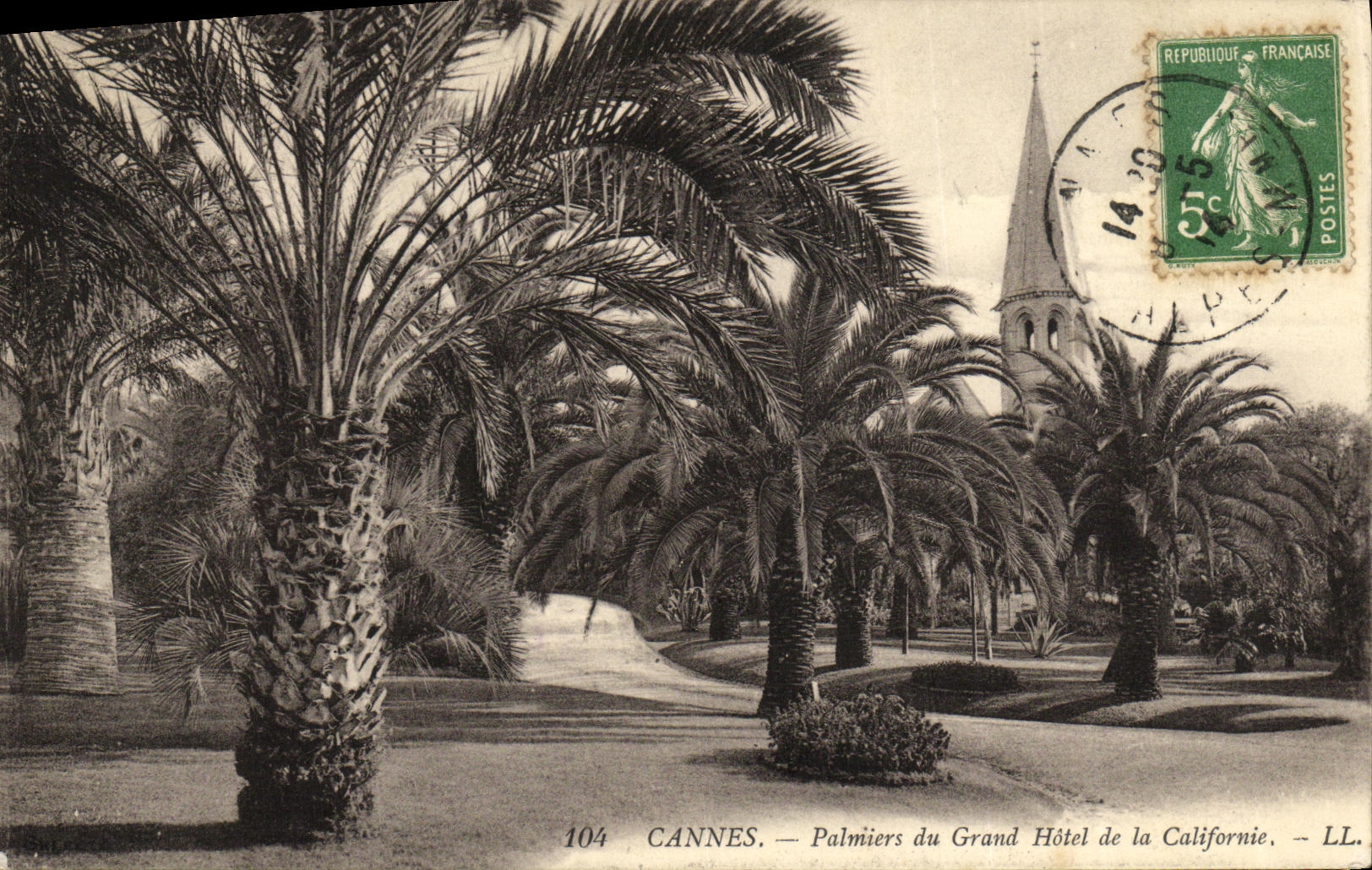 CPA Cannes Palmiers du Grand Hotel de la Californie