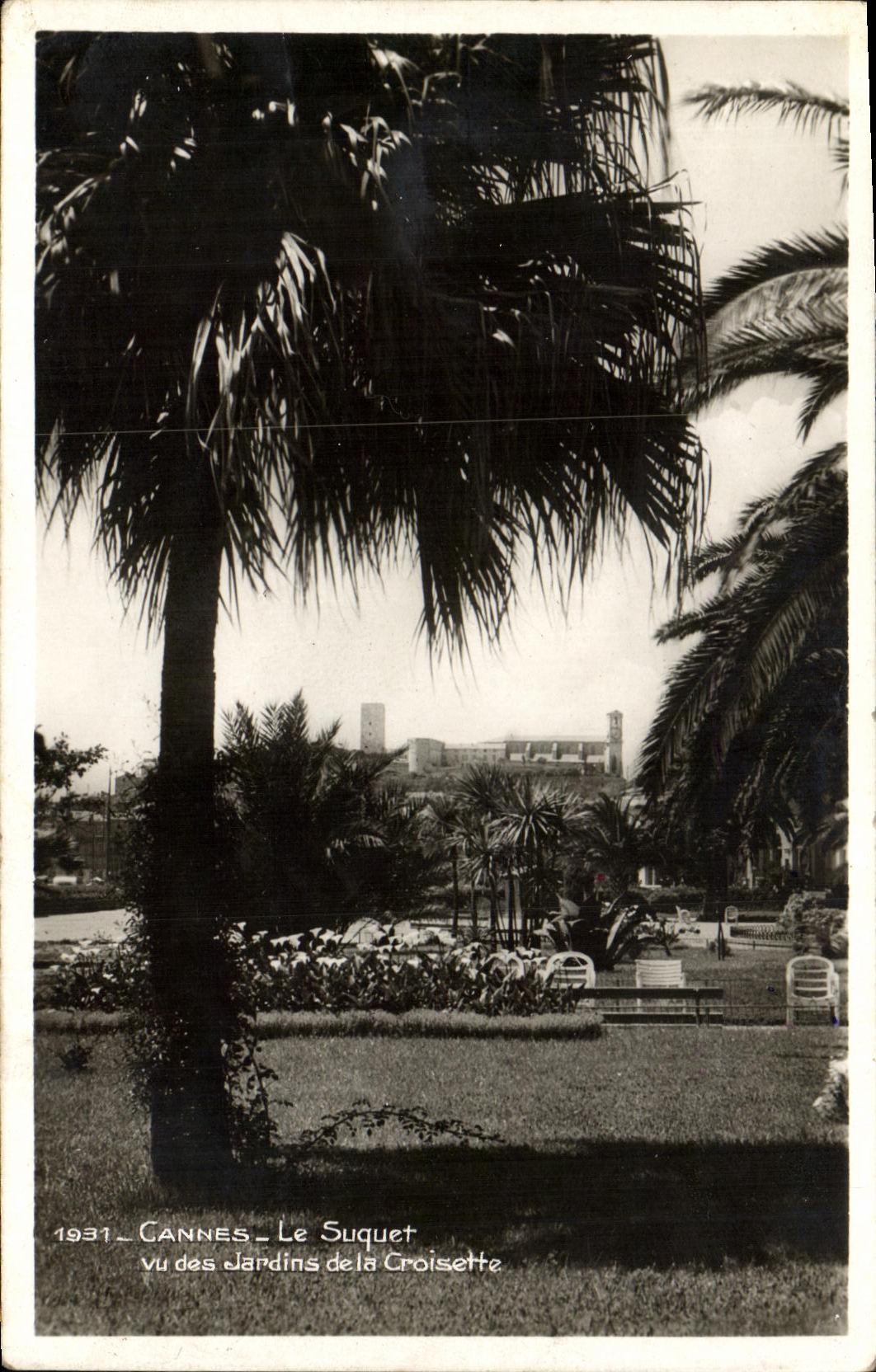CPA Cannes Le Suquet Vu des Jardins de la Croisette