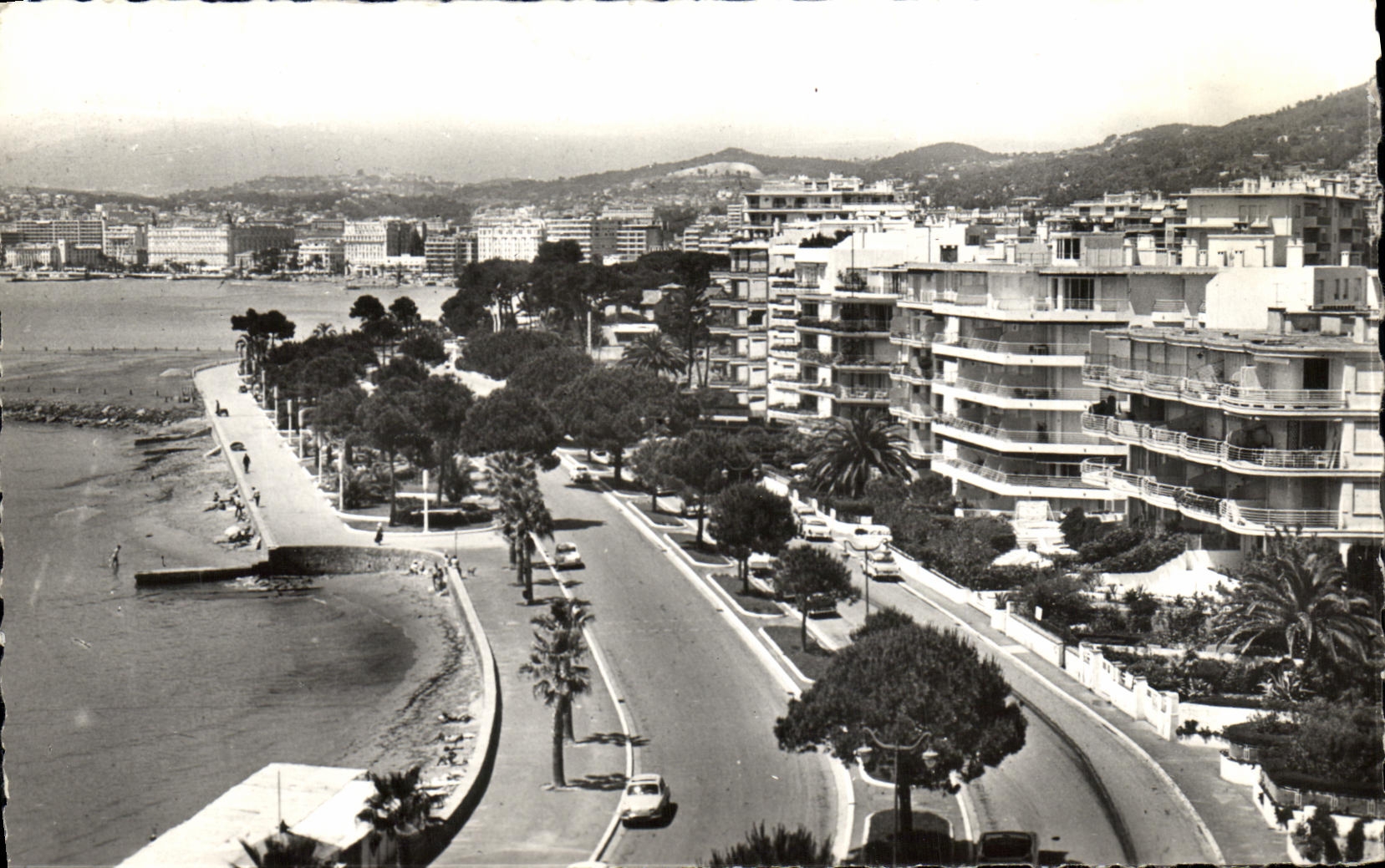 CPM Cannes Nouvelle Croisette du Palm Beach