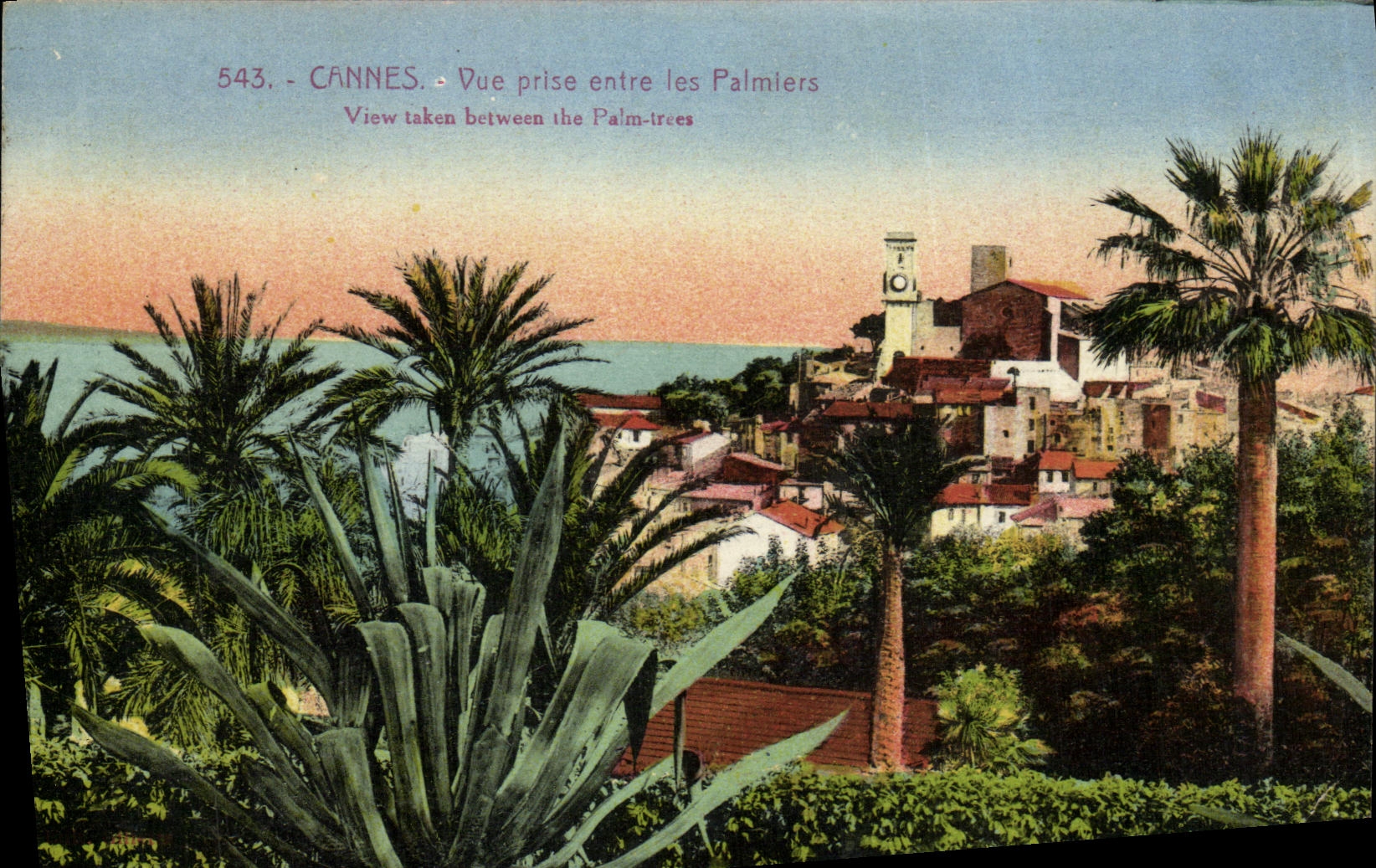 CPA Cannes Vue Prise Entree les Palmiers