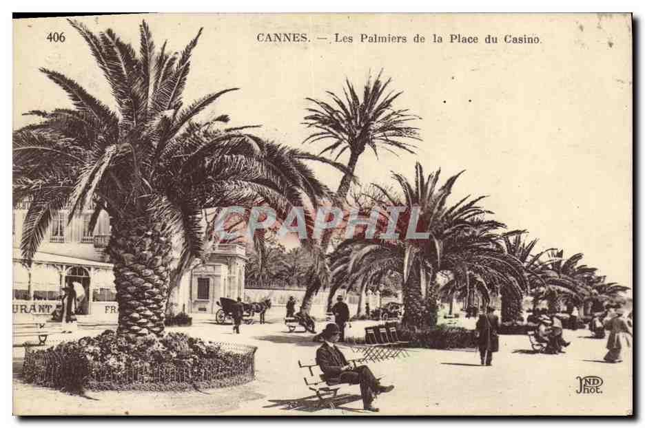 CPA Cannes Les Palmiers de la Place du Casino