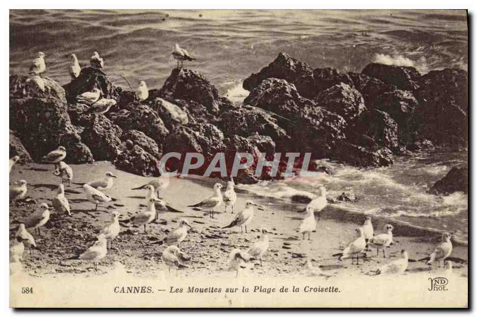 CPA Cannes Les Mouettes sur la Plage de la Croisette