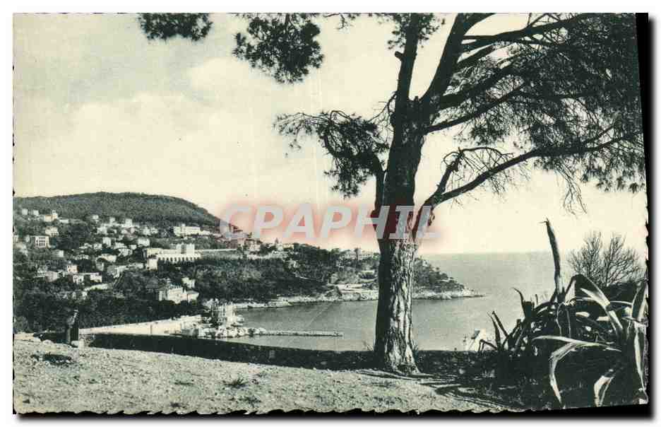 CPA Nice Le Mont Boron et l Entree du Port Vue prise du Chateau
