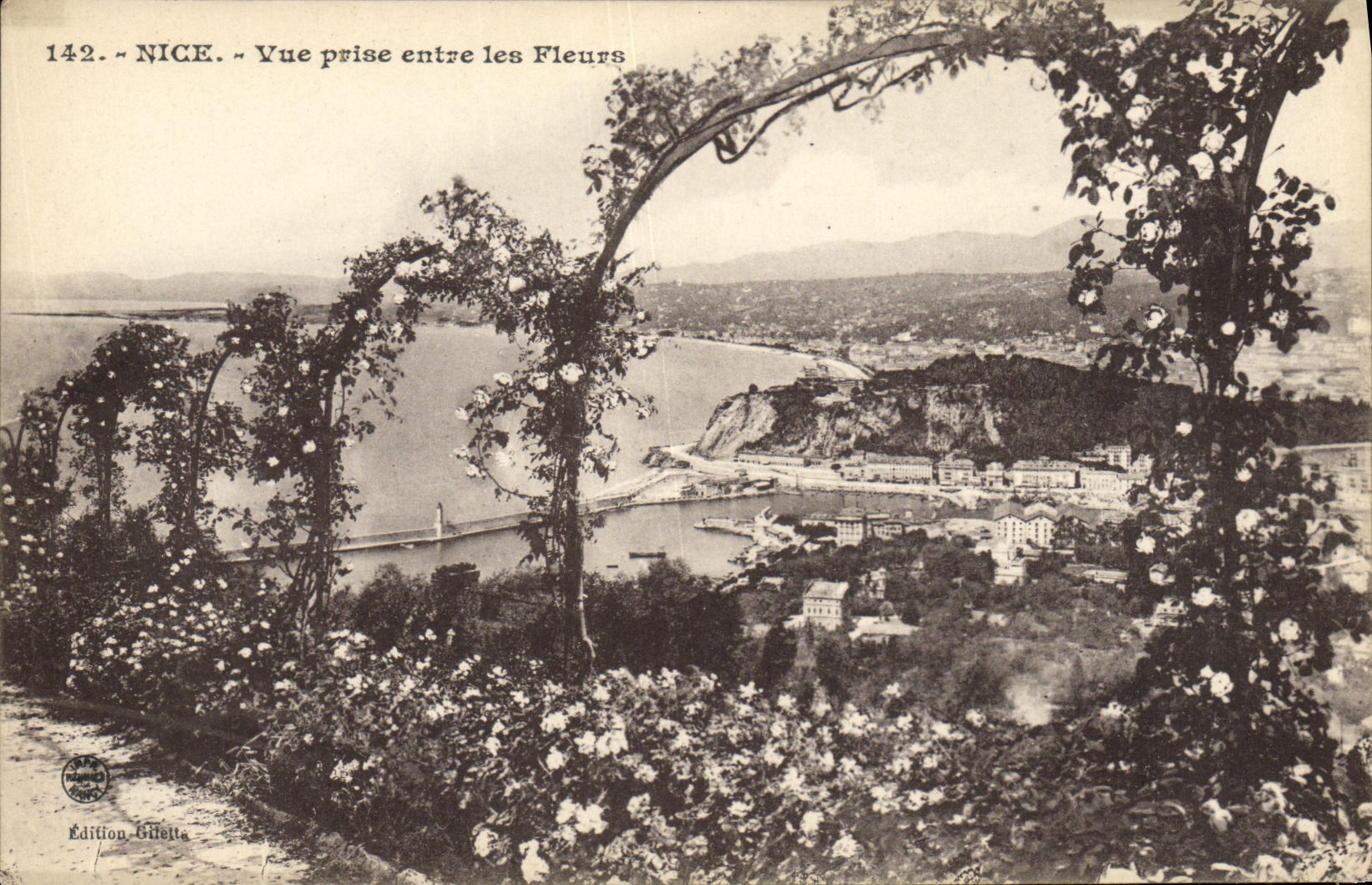 CPA Nice Vue Prise entre Les Fleurs