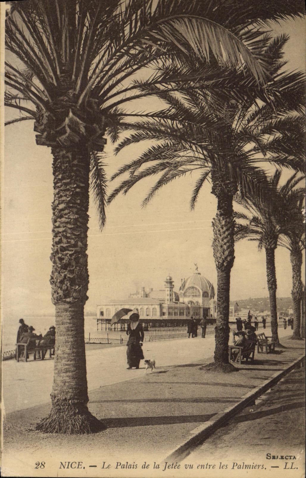 CPA Nice Le Palais de la Jetee Vu Entre Les Palmiers