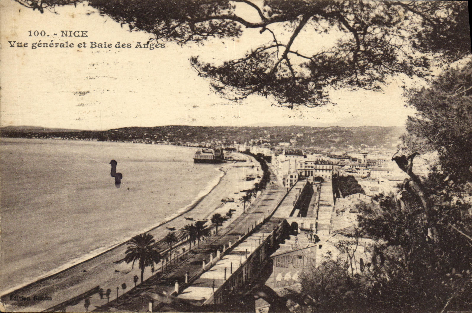 CPA Nice Vue Generale et Bale des Anges