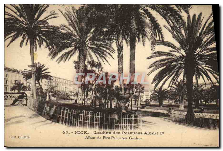 CPA Nice Jardins des Palmiers Albert 1er