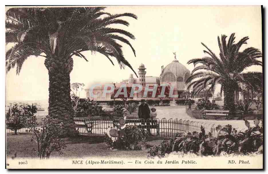 CPA Nice Un Coin du Jardin Public