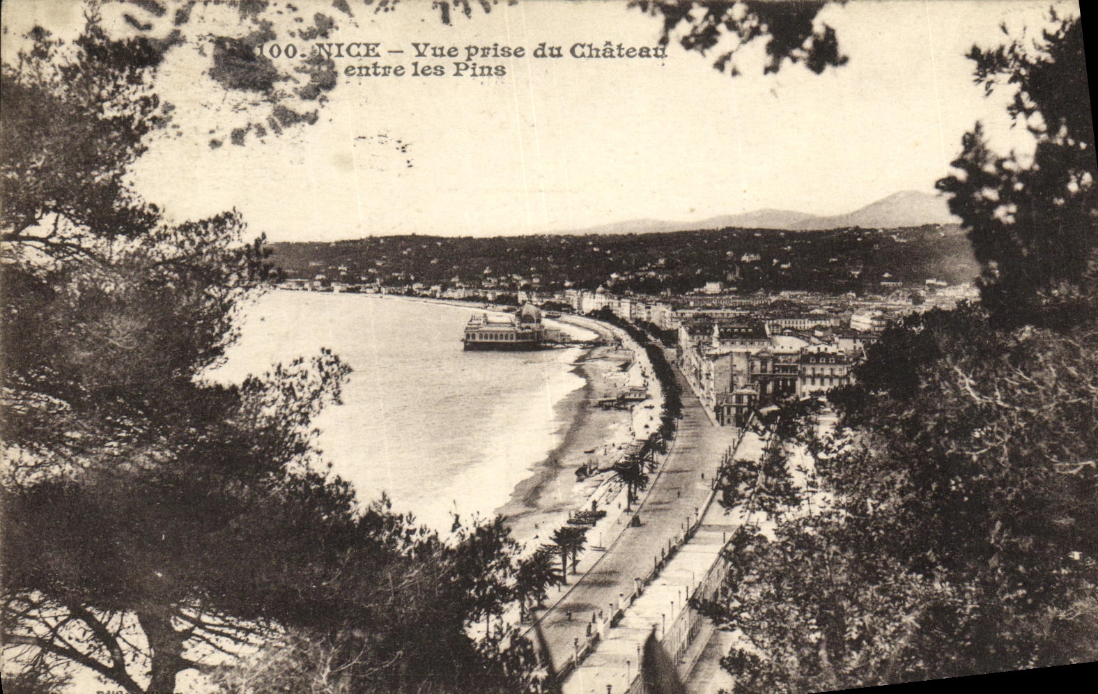 CPA Nice Vue Prise du Chateau Entre les Pins