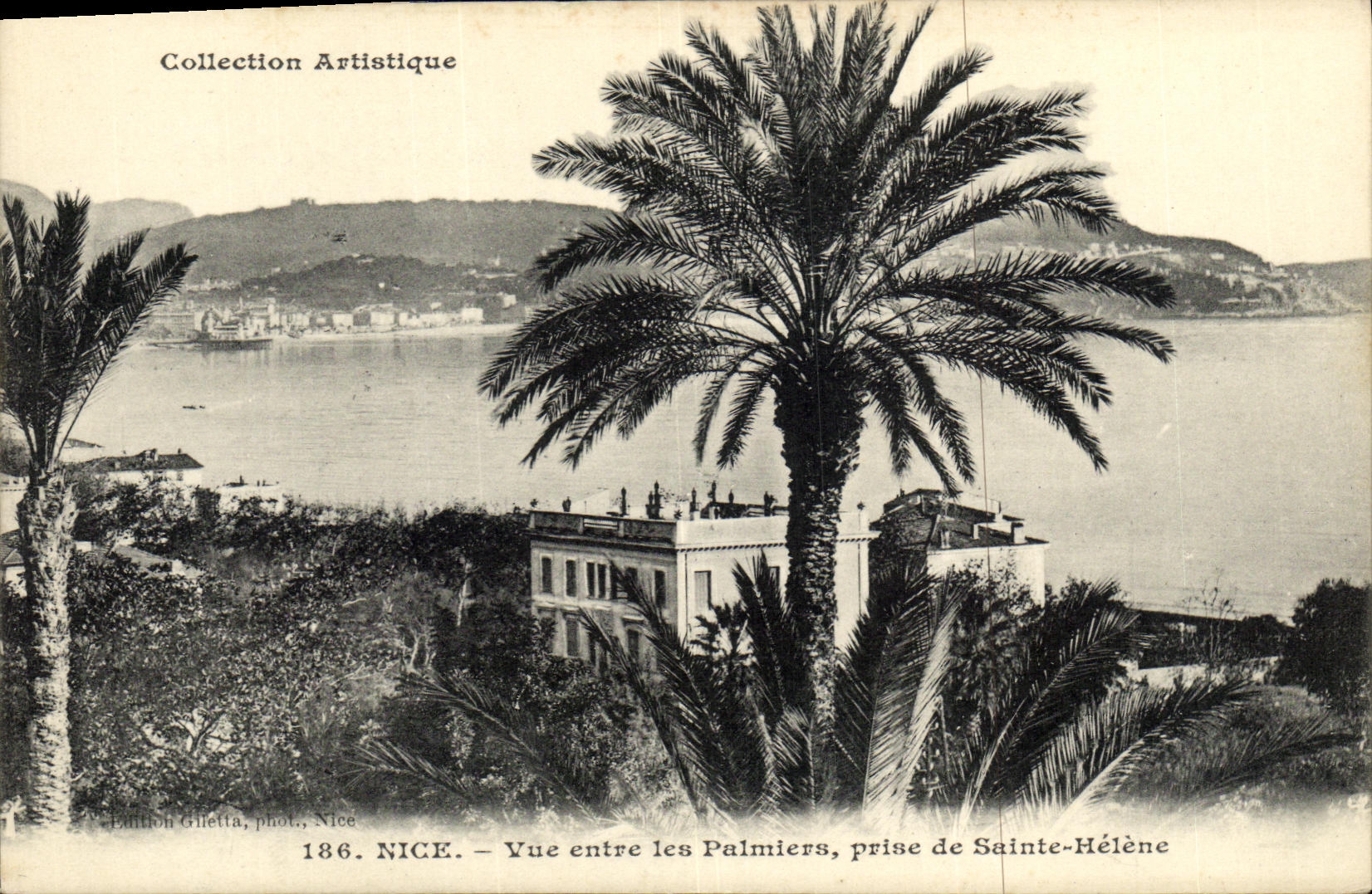 CPA Nice Vue Entre les Palmiers Prise de Sainte Helene