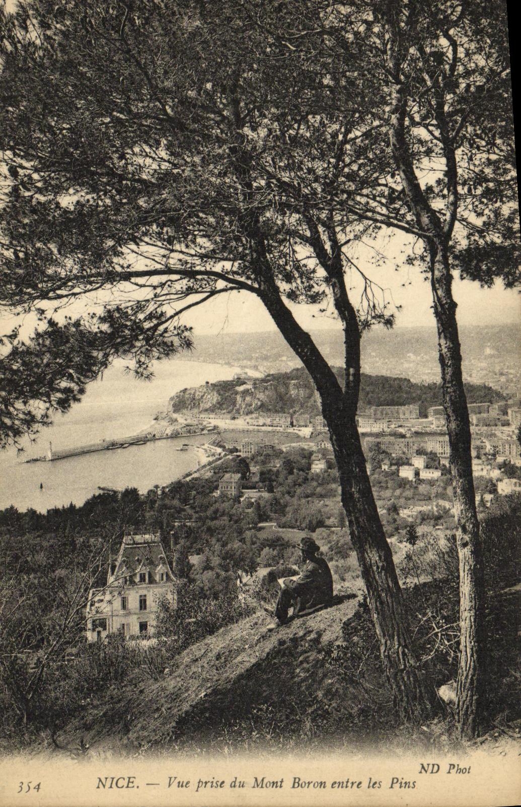 CPA Nice Vue Prise du Mont Boron entre les Pins 