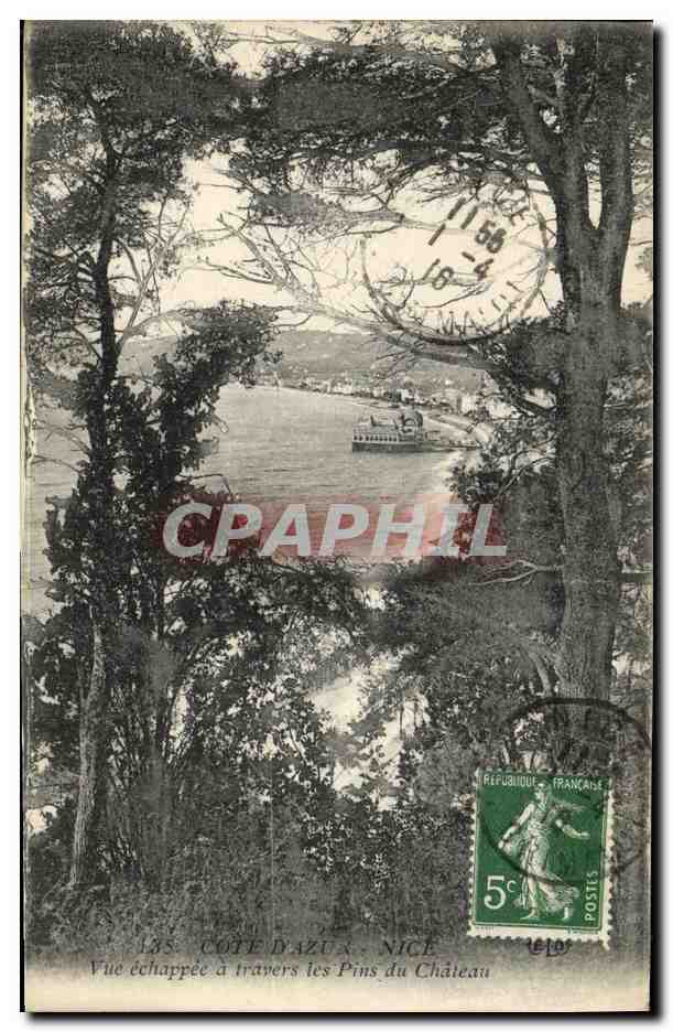 CPA Nice Vue echappee a Travers les Pins du Chateau