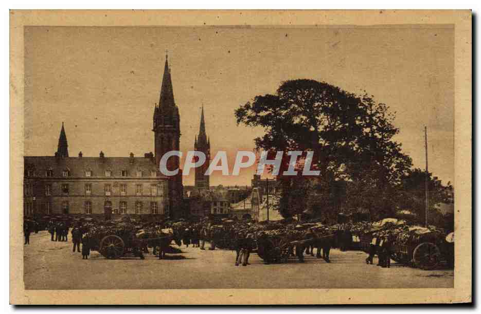 CPA Saint Pol Leon Le Marche des Artichauts