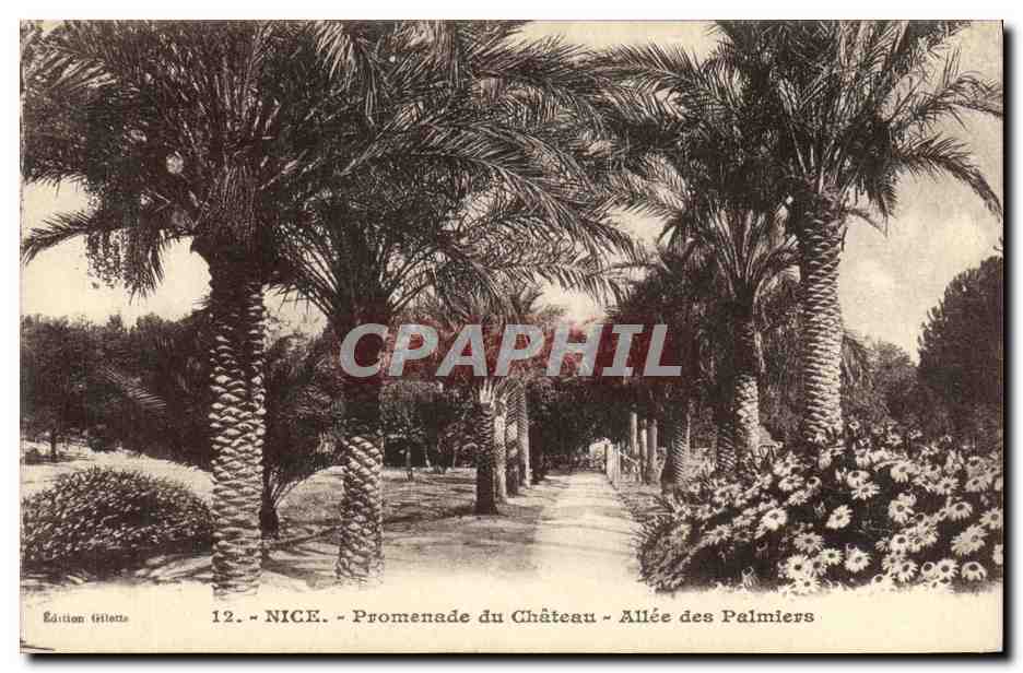 CPA Nice Promenade du Chateau Allee des Palmiers