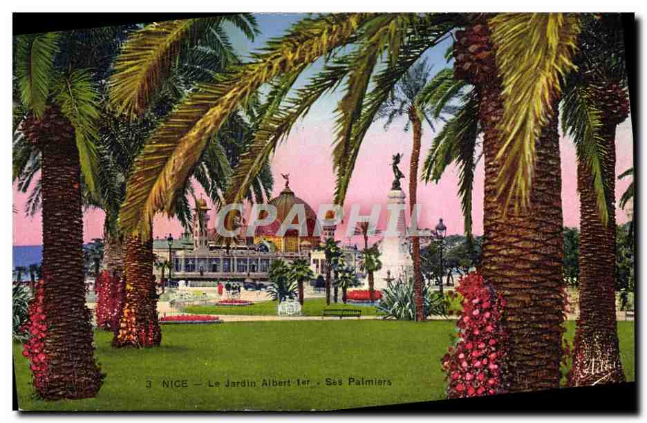 CPA Nice Le Jardin Albert 1er Palmiers