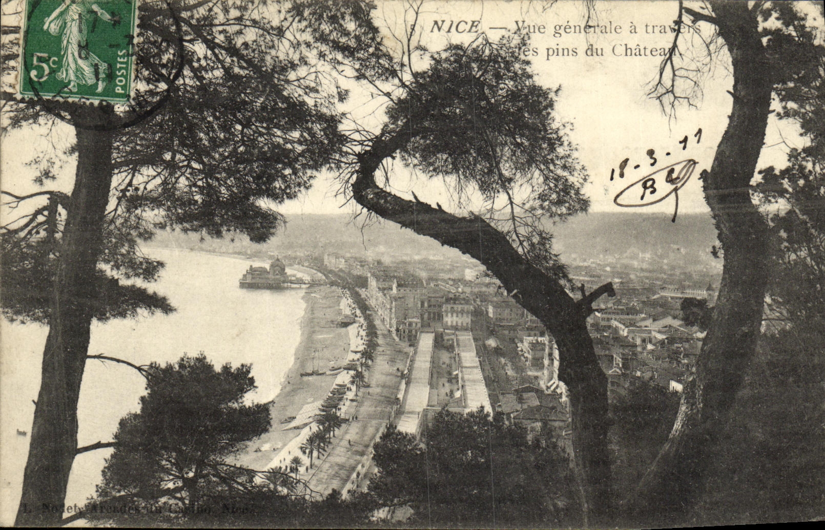 CPA Nice Vue generale a travers les pins du Chateau