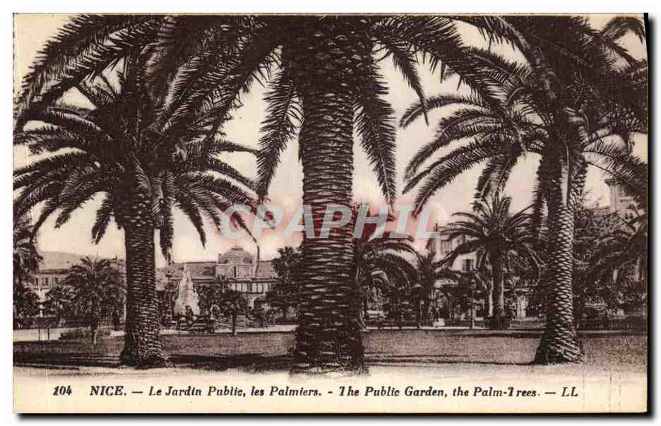 CPA Nice Le Jardin Public les Palmiers