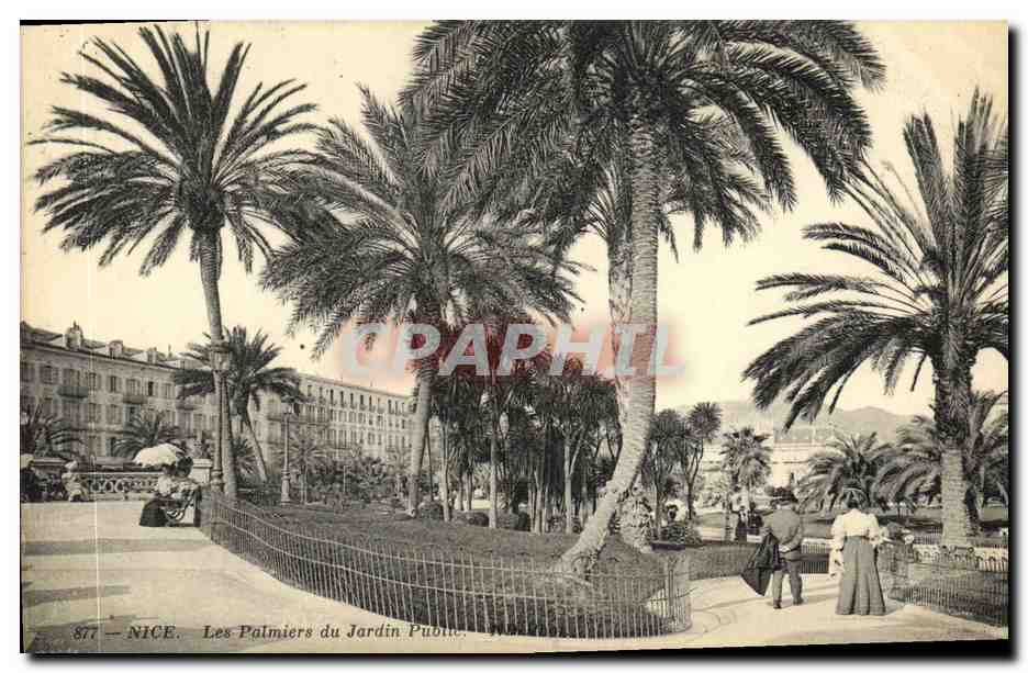 CPA Nice Les Palmiers du Jardin Public