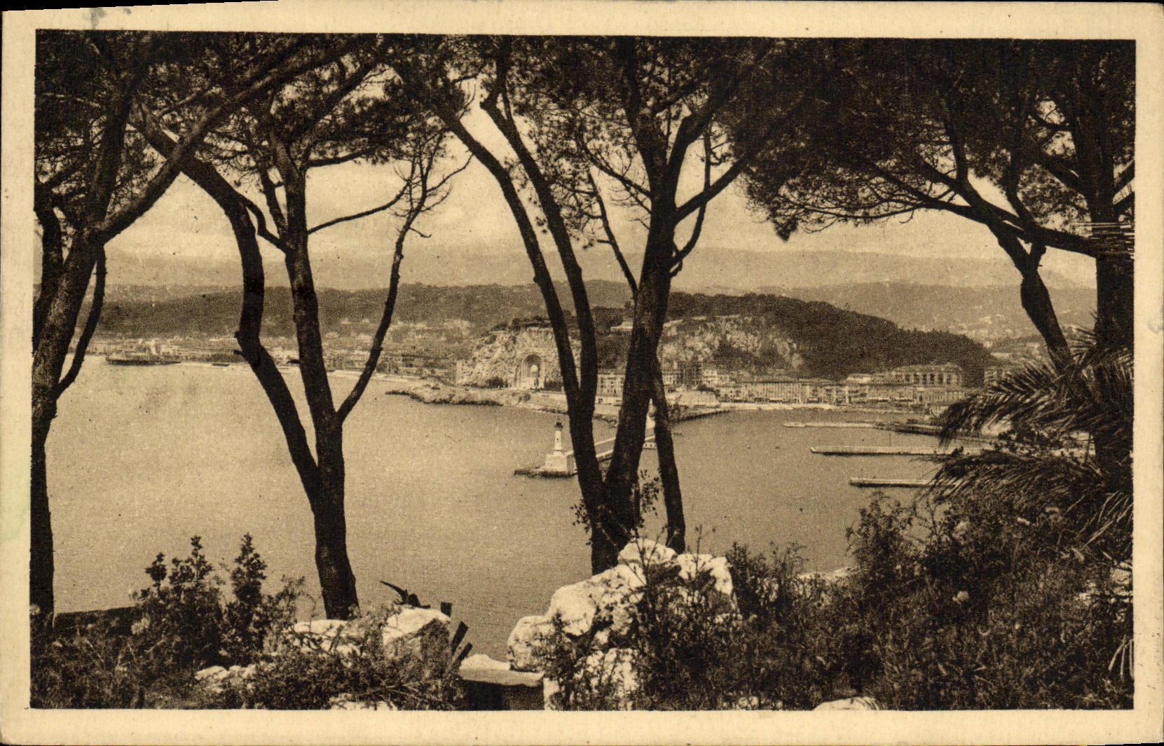 CPA Nice Vue entre les Pins