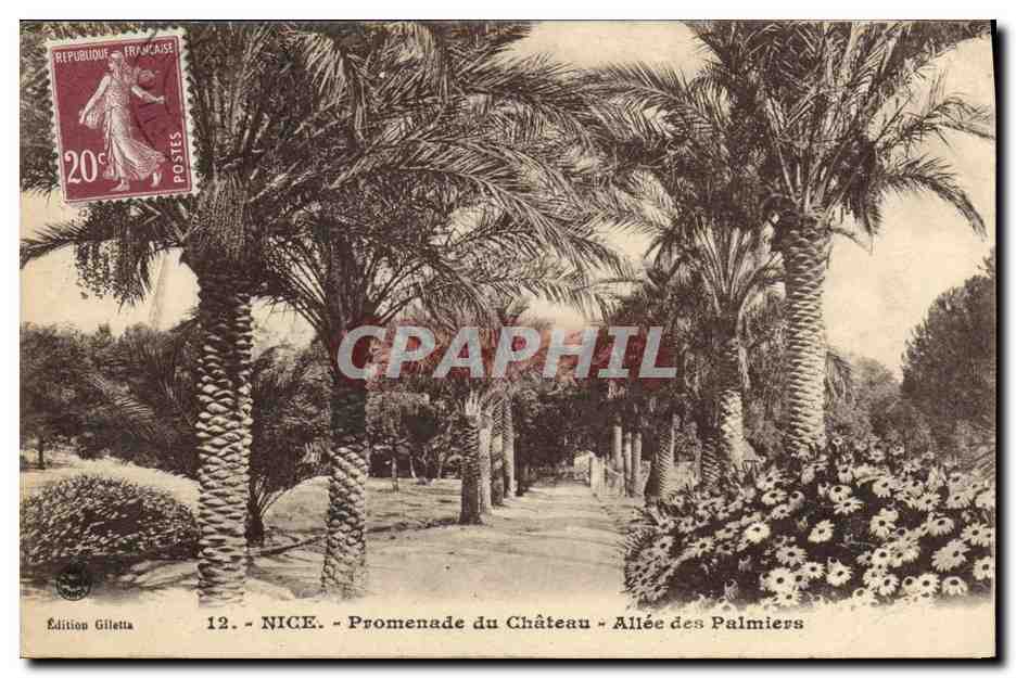 CPA Nice Promenade du Chateau Allee des Palmiers