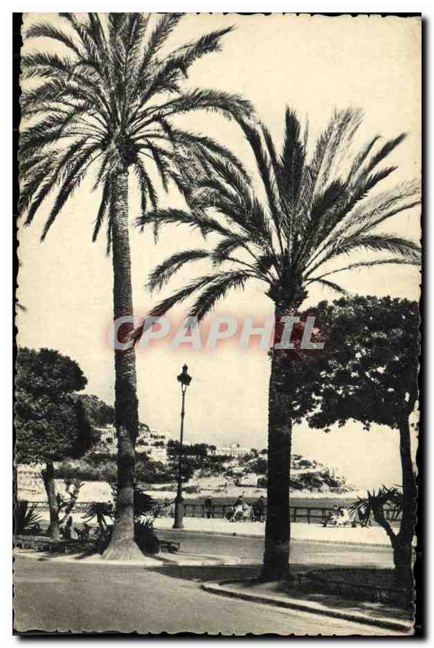 CPA Nice Quai des Etats Unis Le Mont Boron