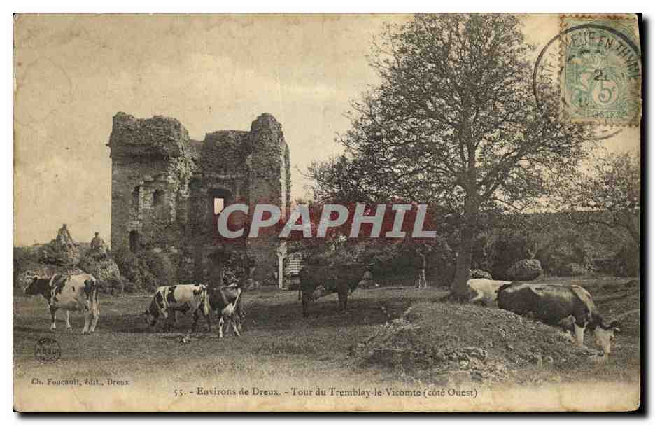 CPA Environs de Dreux Tour du Tremblay le Vicomte Vaches