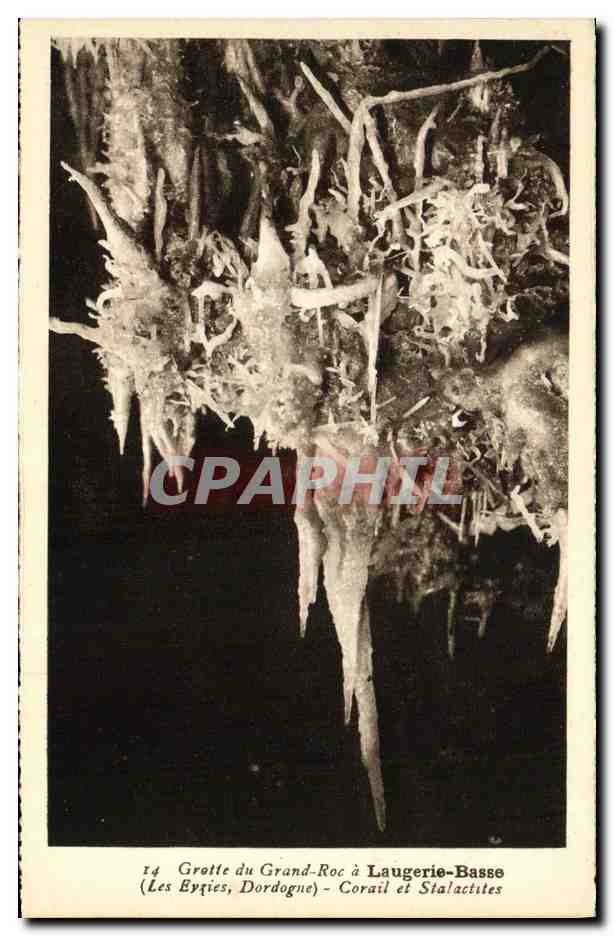 Grotte du Grand-Roc à Laugerie-Basse — Corail et Stalactites — Les Eyqies, Dordogne