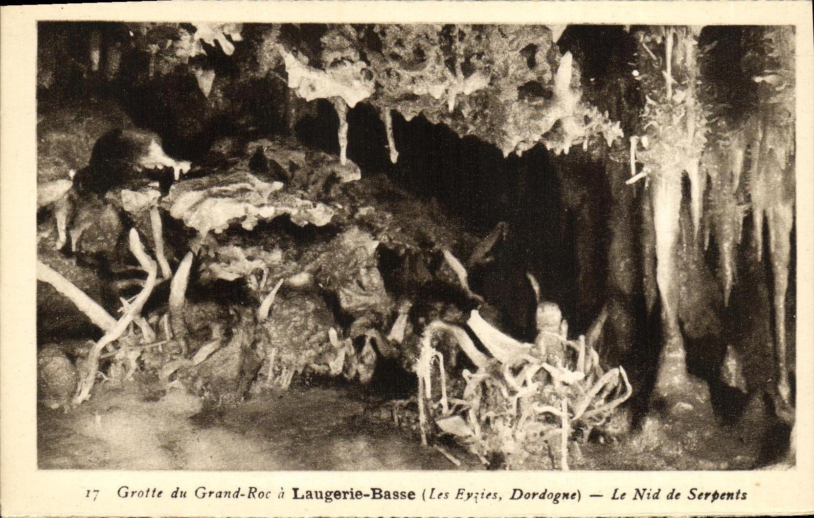 CPA Laugerie Basse Grotte du Grand Roc Le Nid de Serpents
