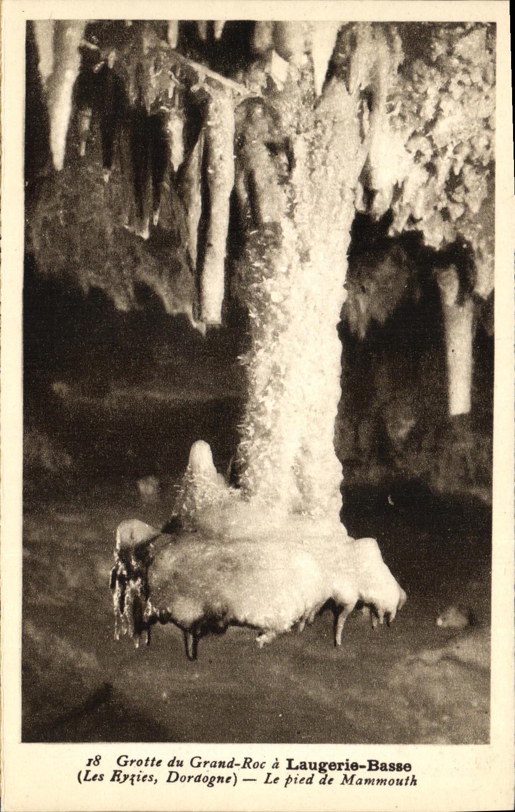Grotte du Grand-Roc à Laugerie-Basse — Le pied de Mammouth — Phototypie-Héliotype