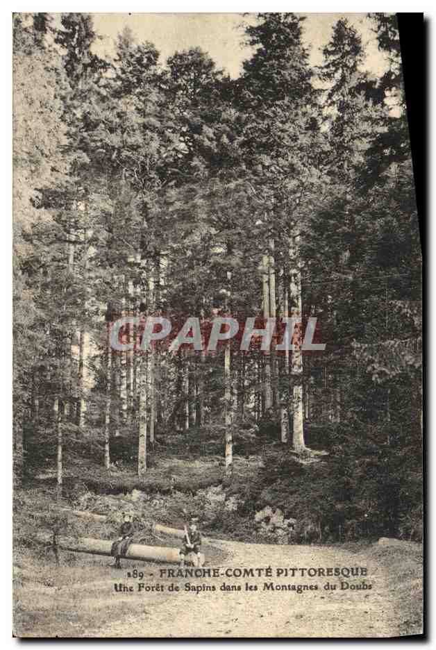 Forêt de Sapins dans les Montagnes du Doubs — Franche-Comté pittoresque — n° 189
