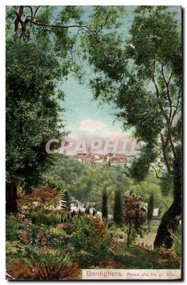 CPA Bordighera Paese allo fra gli Ullvi